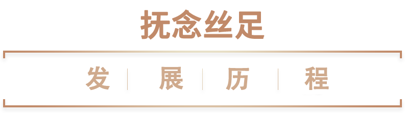 发展历程