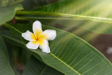 尝试一下南京丝袜按摩是一个非常聪明的选择