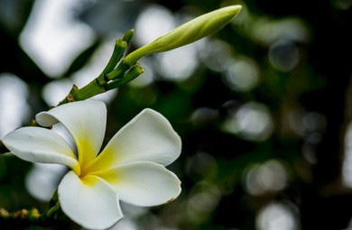 这个夏天就让我们一起来体验南京丝袜按摩吧