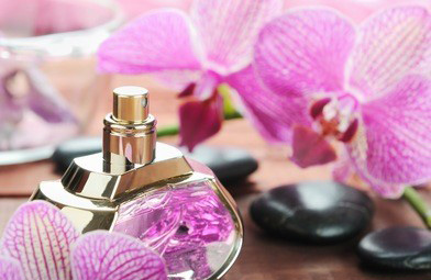 南京丝袜会所如何正确对待顾客的投诉